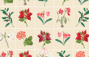 Christmas Botanicals - Landscape Christmas Card