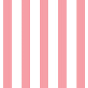 Pink Stripe Calling Card