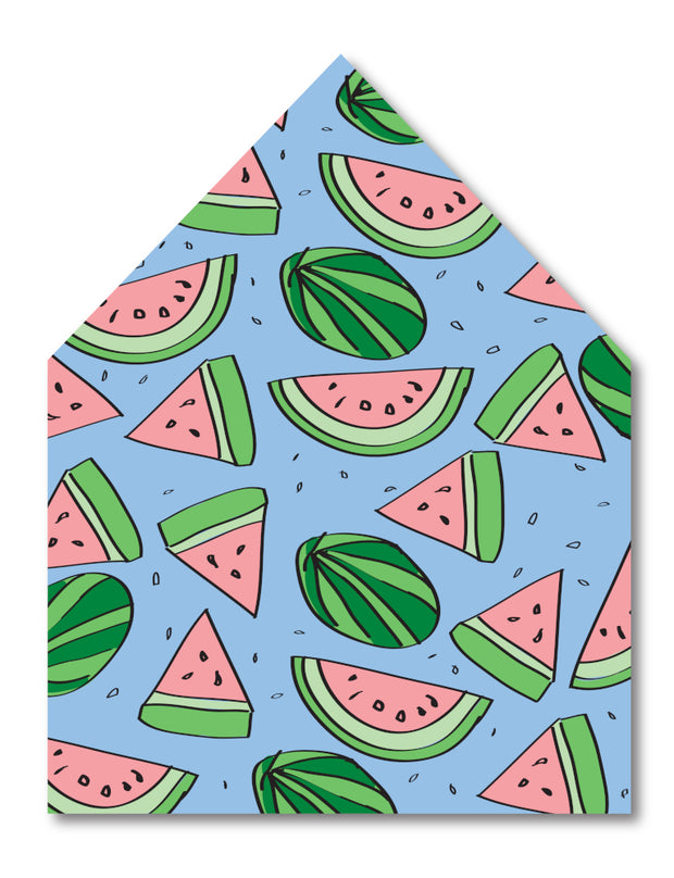 Watermelon Envelope Liner